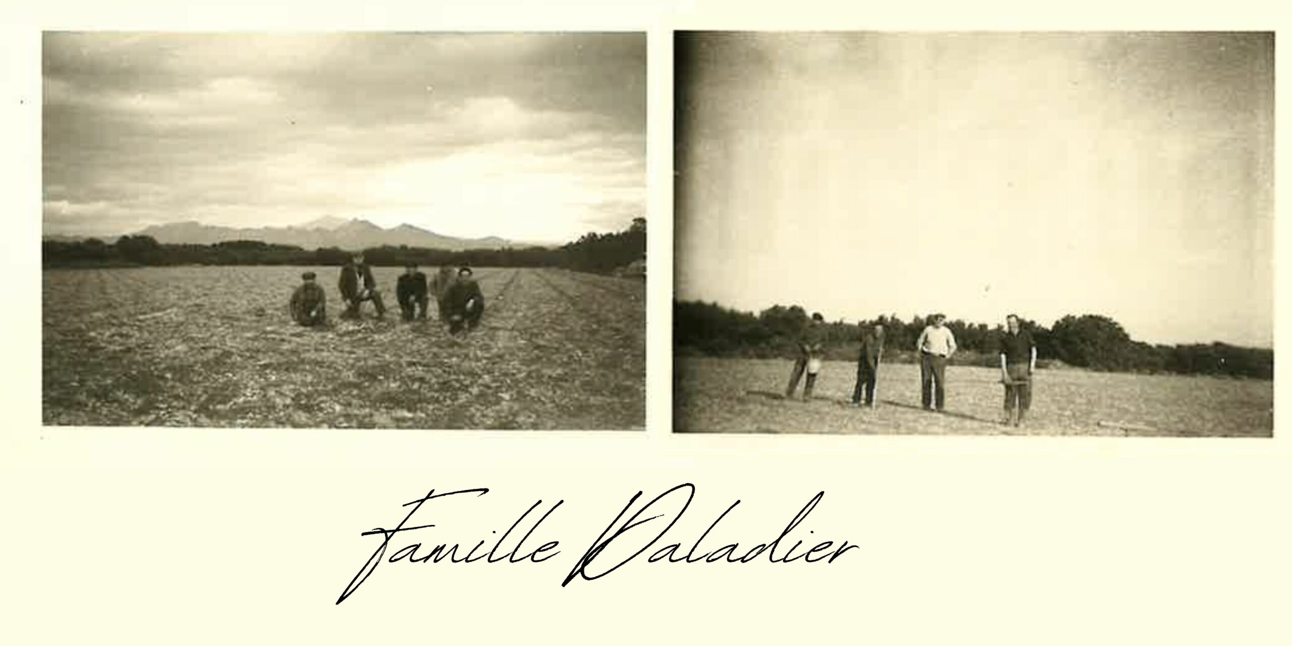 bannière histoire photos famille